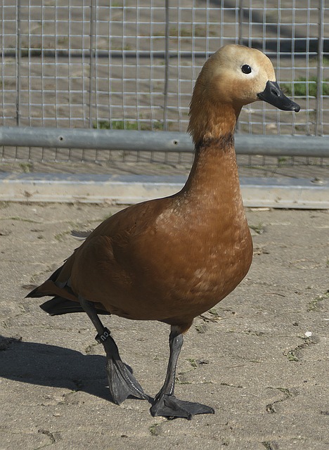 明了方向