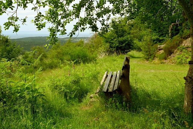 重要收穫之 重要收穫之